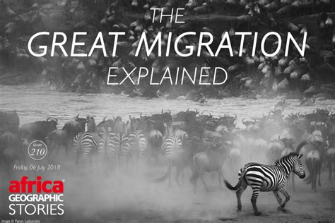 The Great Wildebeest Migration - Africa Geographic