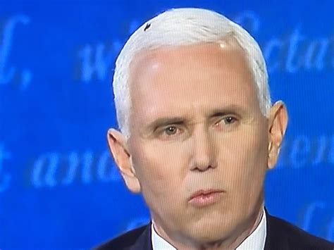 What is the Mike Pence fly remix and why is it trending? | The US Sun