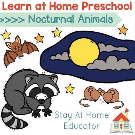 Free Nocturnal Animals Lesson Plans for Preschool