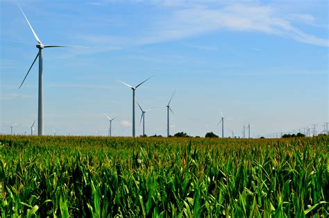 Wind Farms And Ordinary Farms