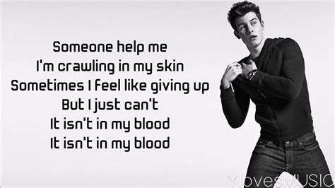 Shawn Mendes - In My Blood (Lyrics) Chords - Chordify