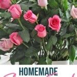 DIY Cut Flower Food Recipes & Tips