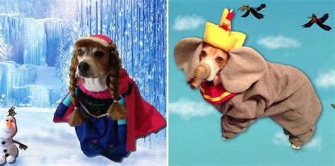 Cute Photos of Dogs Dressed In Disney Costumes