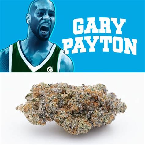 Cookies' Gary Payton Strain Pays Homage To The Legendary SuperSonic