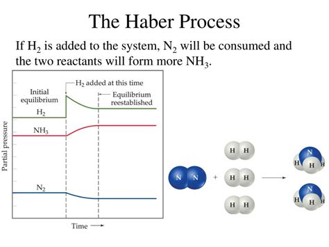 PPT - Intro to Equilibrium – Chapter 18 PowerPoint Presentation, free download - ID:6158783