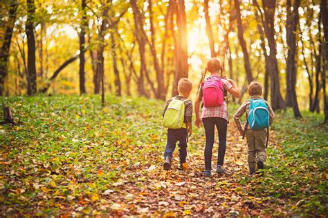 10 Easy Activities for Outdoor Fall Fun – Bicycle Pie