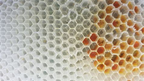 Honeycomb structure