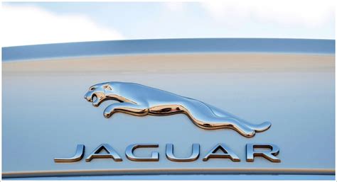 Jaguar Logo Meaning and History [Jaguar symbol]