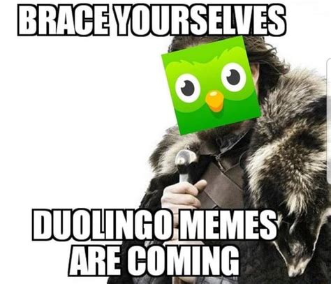 Duolingo memes - iFunny Brazil