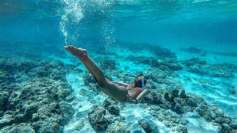 Let's Go Snorkeling in Aruba! | Visit Aruba Blog