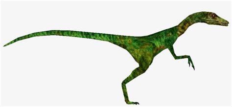 Compsognathus - Jurassic Park Compsognathus Png PNG Image | Transparent ...