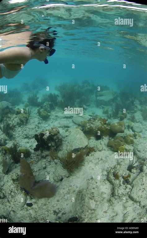 Snorkeling at Underwater trail at St John Island National Marine Park ...