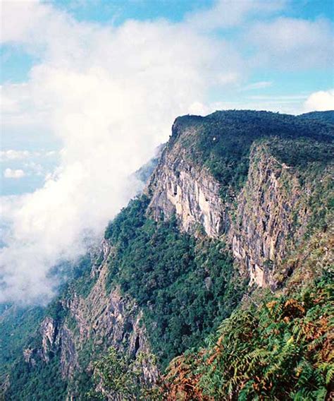 Horton Plains National Park | Horton Plains Trekking