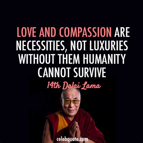 Dalai Lama Quotes Compassion - ShortQuotes.cc