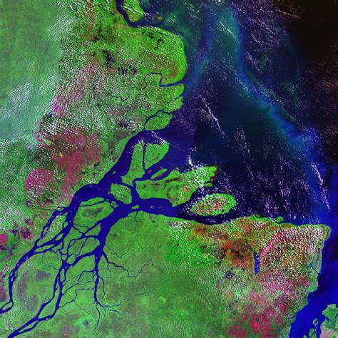 Landsat view of Amazon Delta | NASA SWOT