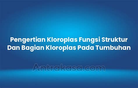 Pengertian Kloroplas Fungsi Struktur Dan Bagian Kloroplas Pada Tumbuhan