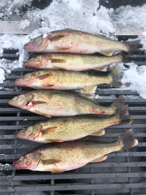 Columbia River - Pre Spawn walleye time - March 1, 2019