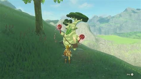 You Get A Weird Reward For Collecting All 900 Korok Seeds In THE LEGEND OF ZELDA: BREATH OF THE ...