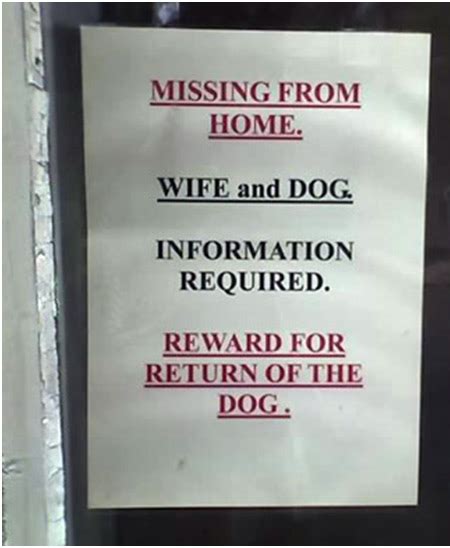 Just Cool Pics: Funniest Lost And Found Pet Signs