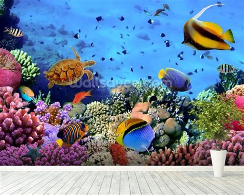 Coral Colony on a Reef Wallpaper Wall Mural | Wallsauce UK