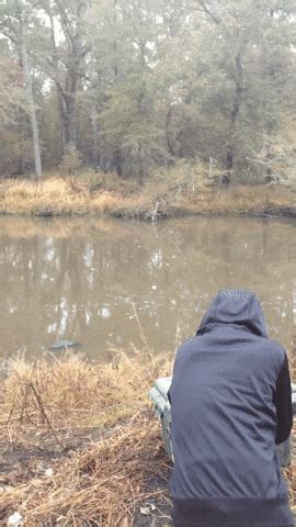 Tannerite GIFs - Find & Share on GIPHY