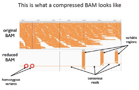 USeq, MiSeq, WeAllSeq...to Seek: GATK Best Practices Workshop: Data Pre ...