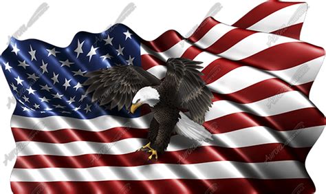 Waving American Flag Flying Eagle Cloth - Aurora Graphics