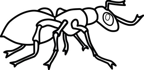 9+ Ant Clipart Black And White - Preview : Free Clipart Of A | HDClipartAll