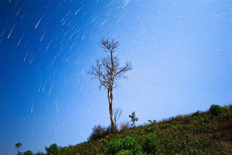 Brighter Joshua Tree Star Trails,star Trails and Shooting Star Over the ...