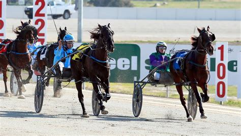 Harness Racing NSW announce return to pre-COVID prizemoney levels | The Daily Advertiser | Wagga ...