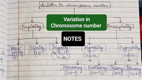 Variation in Chromosome Number / Euploidy / Aneuploidy / Examples #notes #youtube @priya_thakur ...