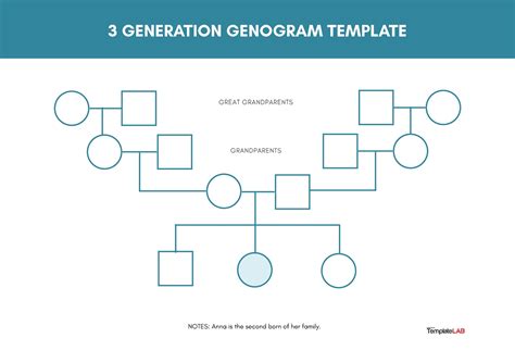 Three Generation Family Genogram Examples