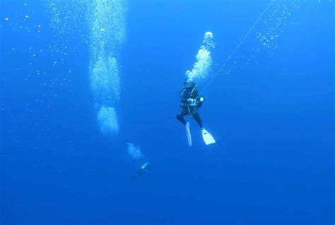 Diving Yonaguni: Mission Hammerhead Sharks - World Adventure Divers