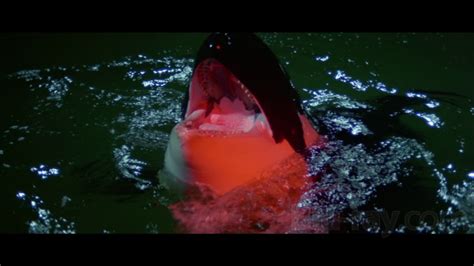 Orca The Killer Whale Movie