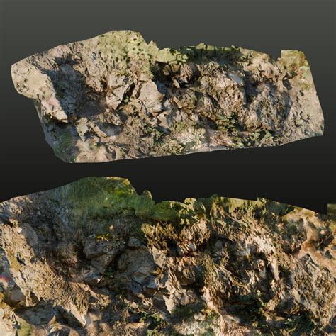 Forest Rocky Ground A | 3D Terrain models | BlenderKit