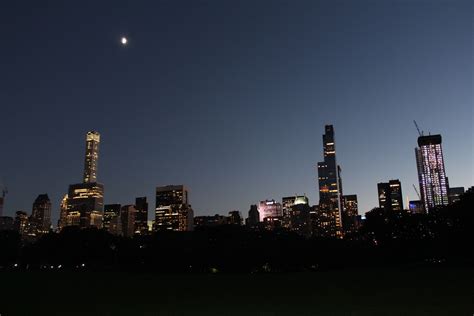 NYC skyline view from Central Park | Skyline view, Nyc skyline, Skyline