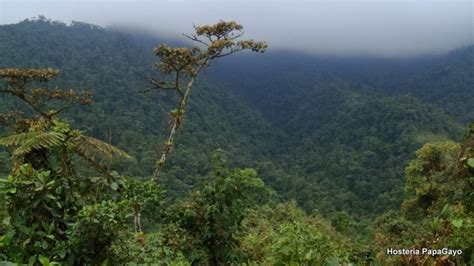 Mindo Cloud Forest - Quito | Project Expedition