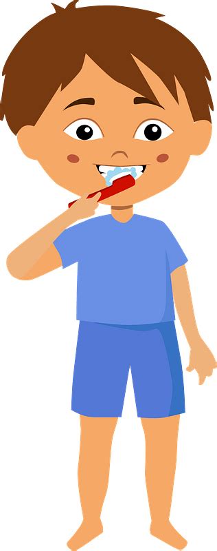 Boy brushing teeth clipart. Free download transparent .PNG | Creazilla