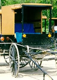 Amish Buggy Interior Photographs