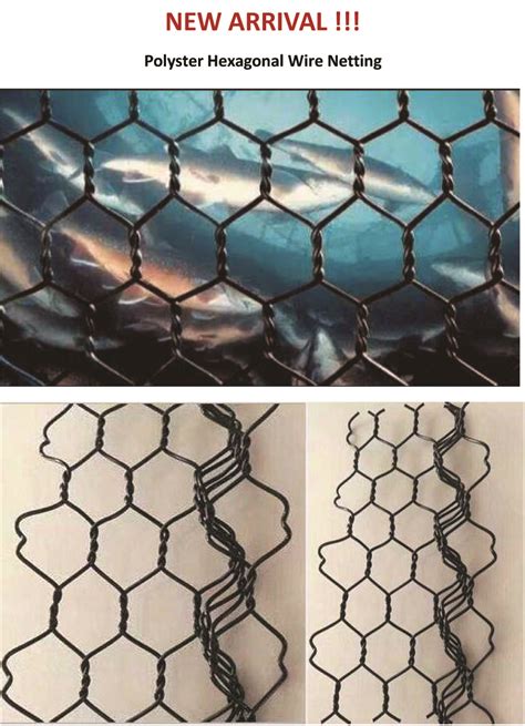 POLYESTER HEXAGONAL WIRE NETTING-NEWS-Wire mesh& Fence