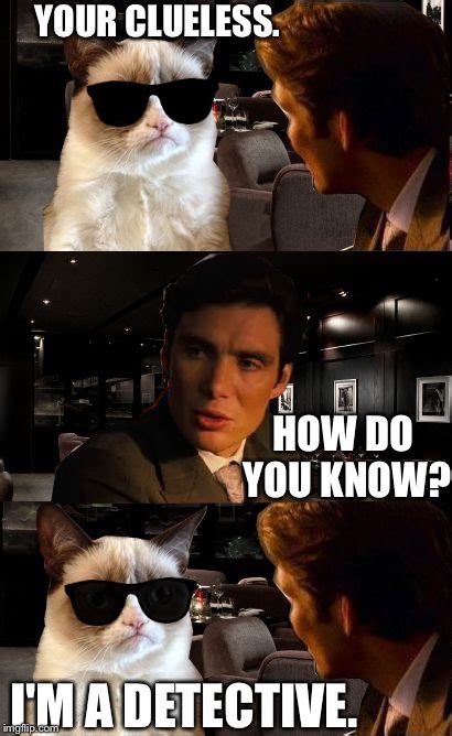 leonardo and grumpy cat Memes & GIFs - Imgflip