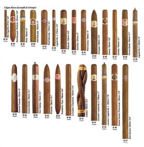 Everything you need to know about cuban cigars – Artofit