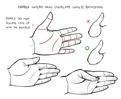 How to Draw Hands and Feet | Art Rocket