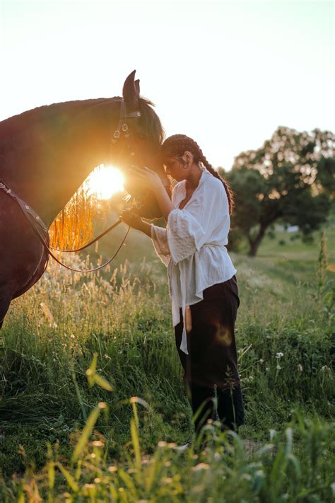 Horse Care Photos, Download The BEST Free Horse Care Stock Photos & HD ...