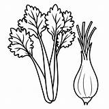 Celery Fennel lettuce Vegetables Outline coloring book Page line Art  sketch template