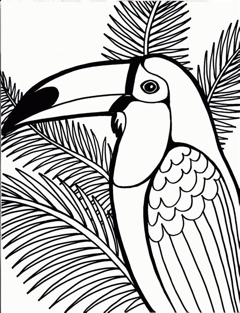 Gambar Free Rainforest Coloring Pages Birds Printable di Rebanas - Rebanas