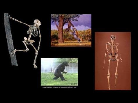 CARTA: Bipedalism and Human Origins - Why are we the only two-legged creature to develop an ...