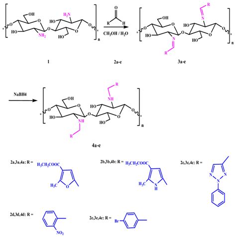 Scheme 1. Synthesis of chitosan Schiff's base (CSB) and chitosan amine ...