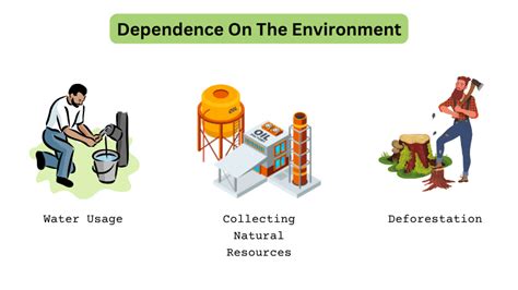 Understanding the Types of Human Environment Interaction