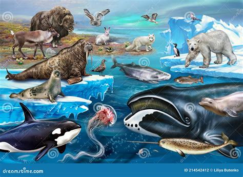 Fauna of the Arctic Tundra and the Arctic Ocean Stock Illustration ...